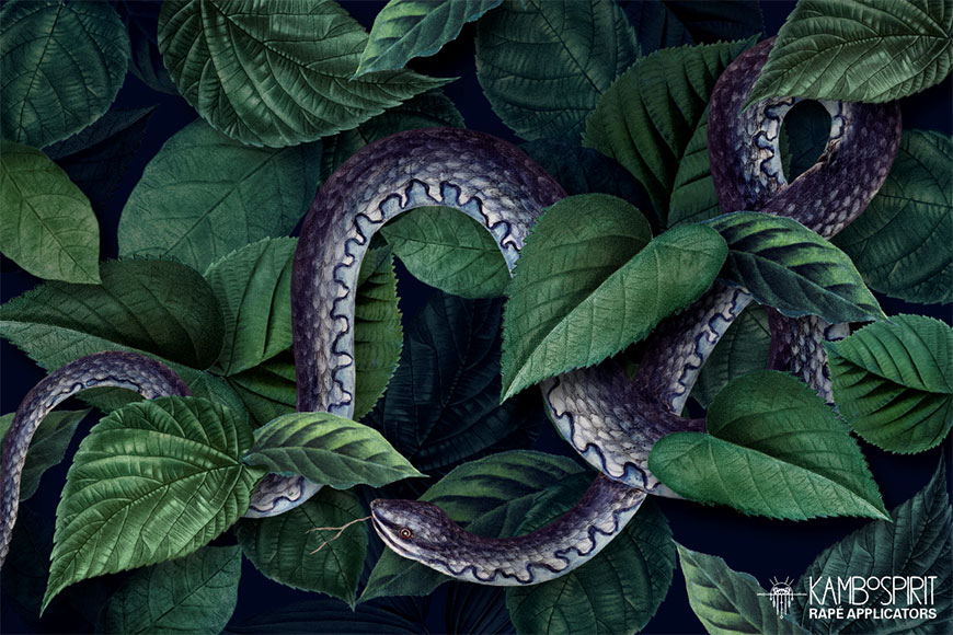 jiboia boa snake rapè snuff blow